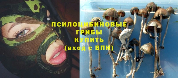 mdma Богородицк