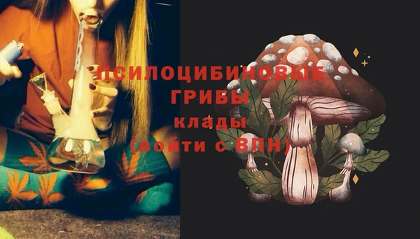 спайс Богородск